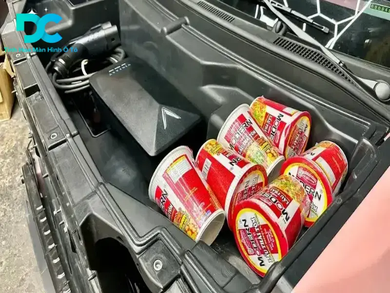Cốp trước VF3